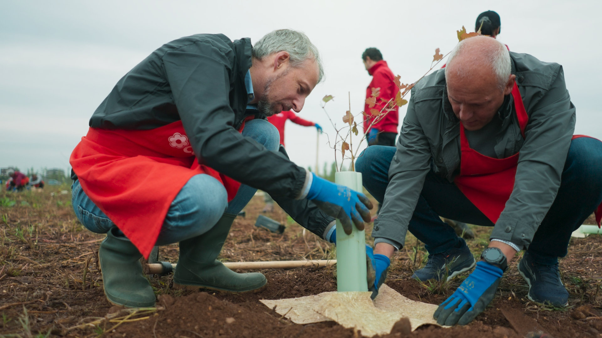Nova Milanese, Monza Brianza
